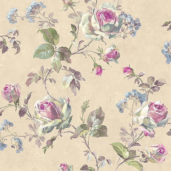 منزل السافانا