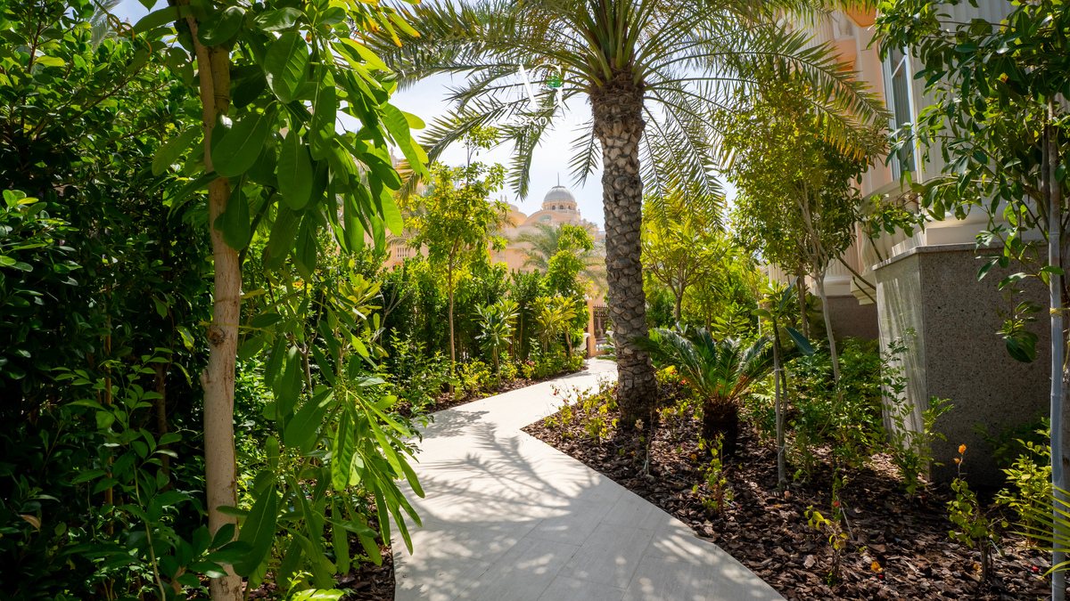 Landscape Design in Dubai: From Concept to Care