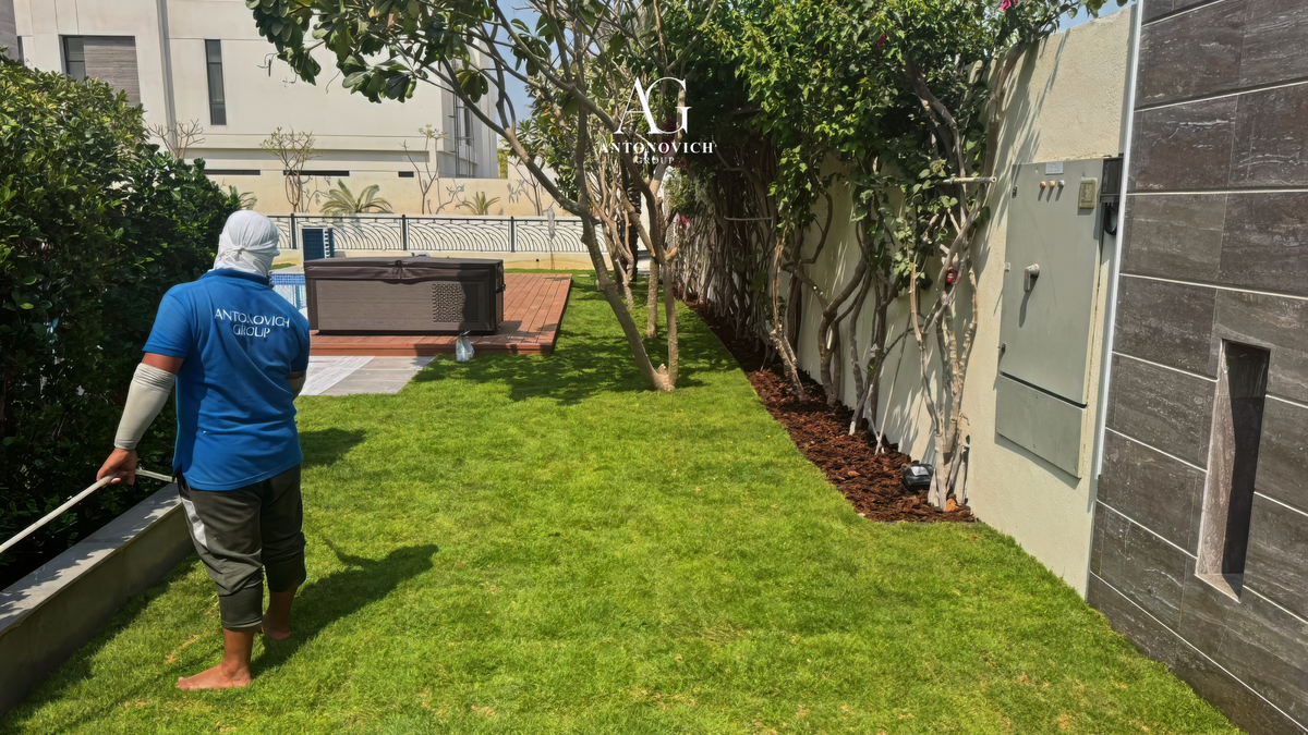 Landscape Design in Dubai: From Concept to Care
