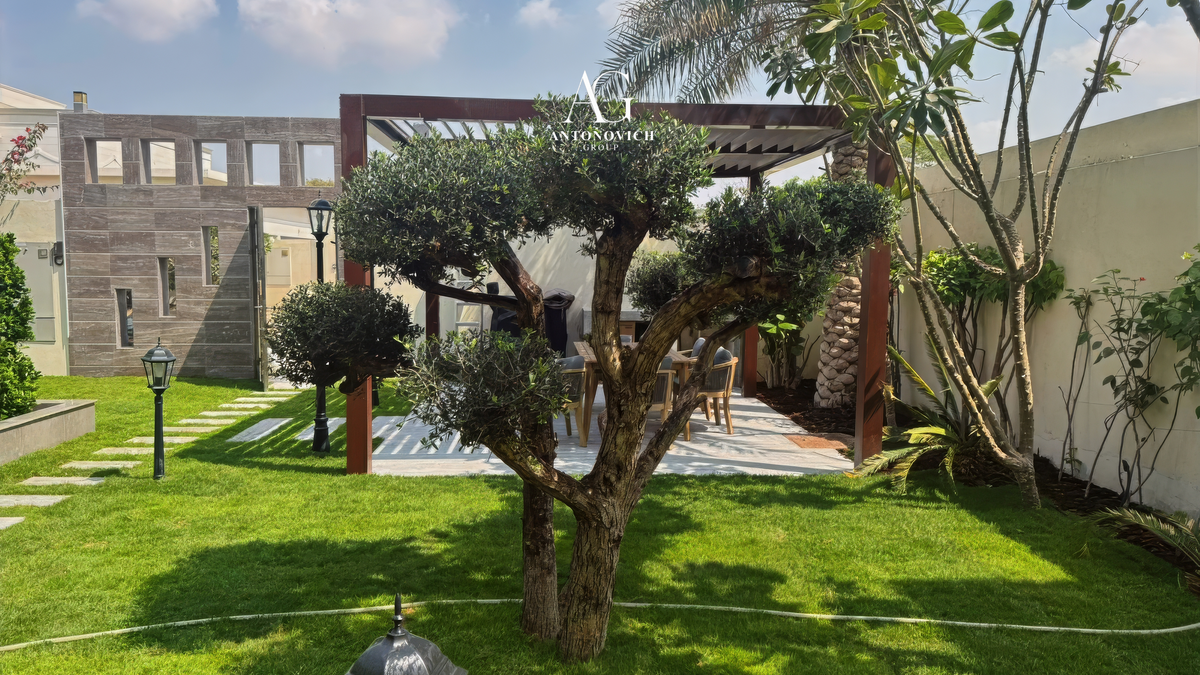 Landscape Design in Dubai: From Concept to Care