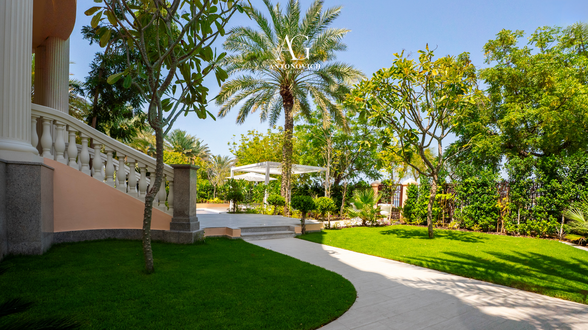Landscape Design in Dubai: From Concept to Care