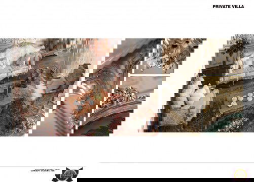 This picture appears to show a white and blue flower, with the petals of the flower resembling the stars and stripes of the American flag. The flower has a center made up of yellow stamens, and leaves arranged symmetrically around it.