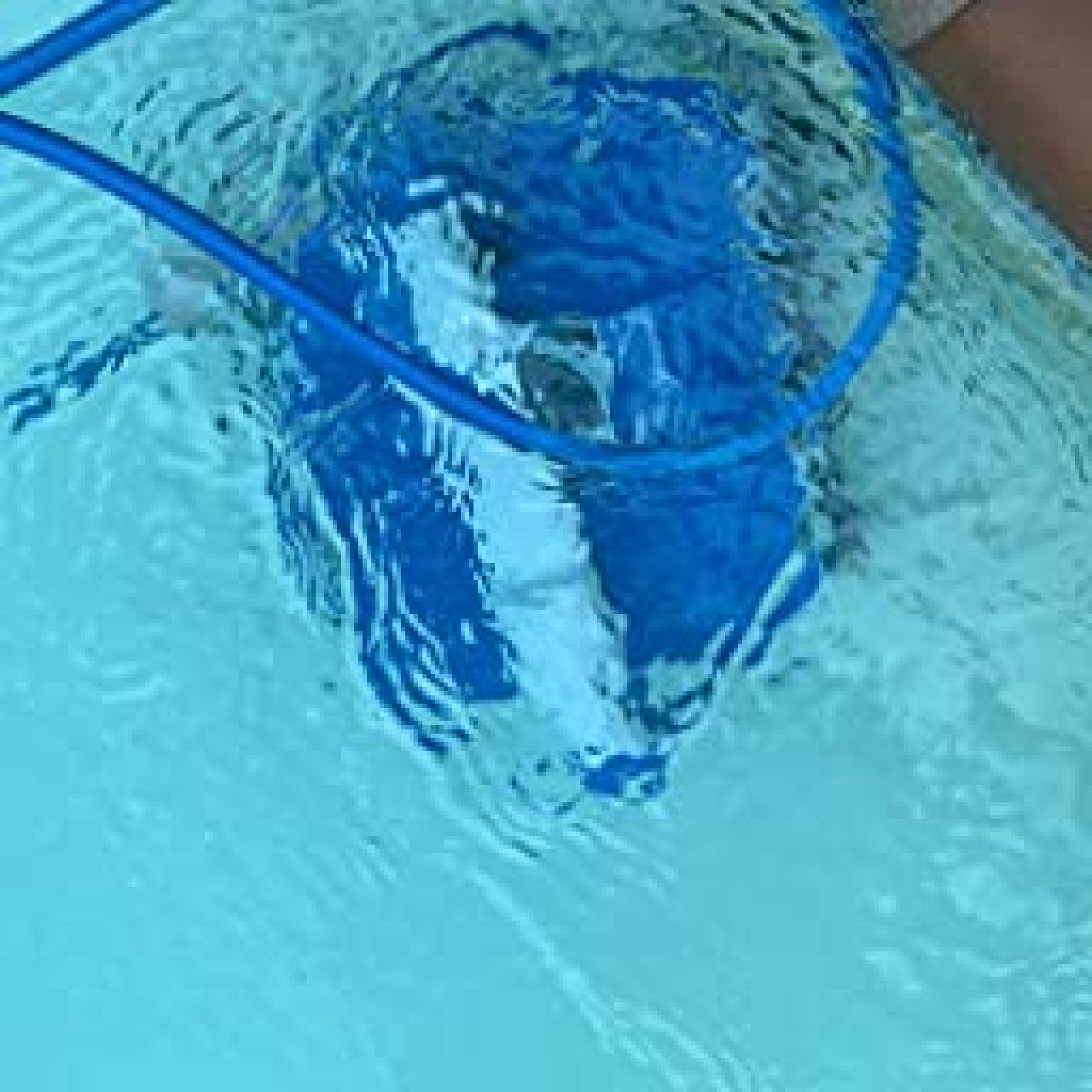 Swimming Pool Cleaning