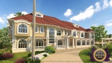 The picture shows a pink and green cactus plant, with two smaller leaves growing from the side of a larger, ringed main stem. The background is a light orange-yellow color.