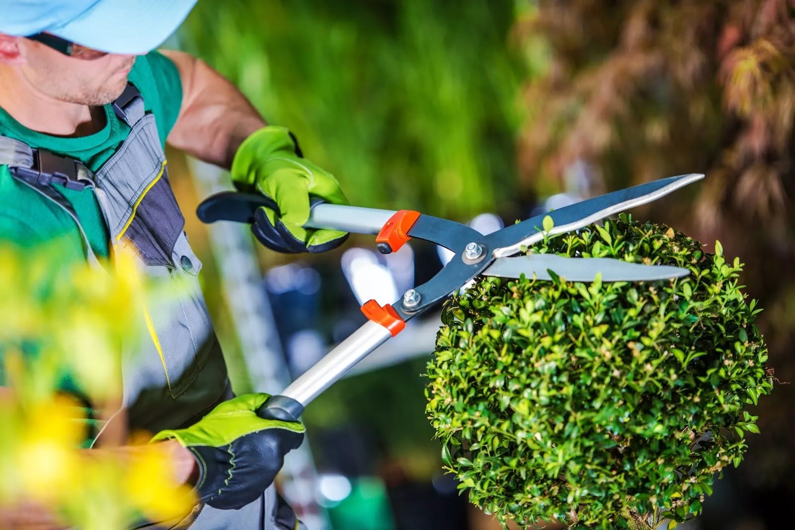 Garden Maintenance