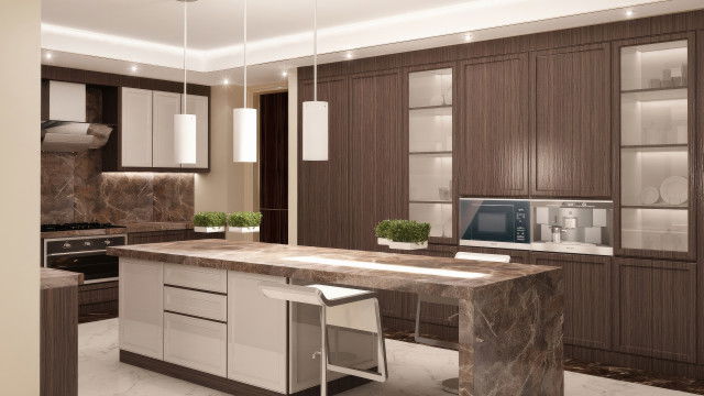 Contemporary kitchen designing