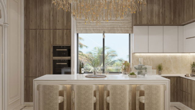 Contemporary Kitchen  Design