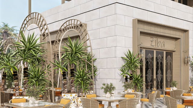 Архитектура и проект кафе