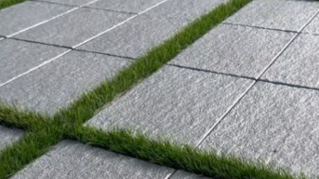 Идеальный ландшафтный дизайн в Абу-Даби