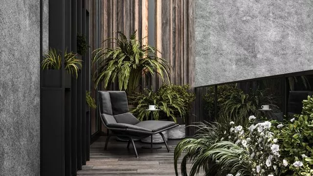 Elevate Your Garden with Premier Landscape Services in Dubai | The Expert Guide to Outdoor Solutions