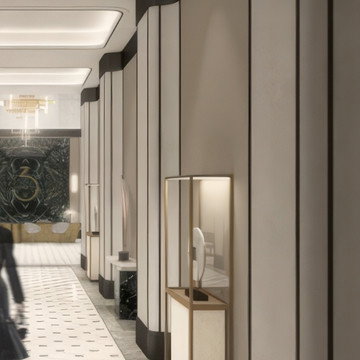 Luxury Designs for Elevators and Full Installation Execution Services