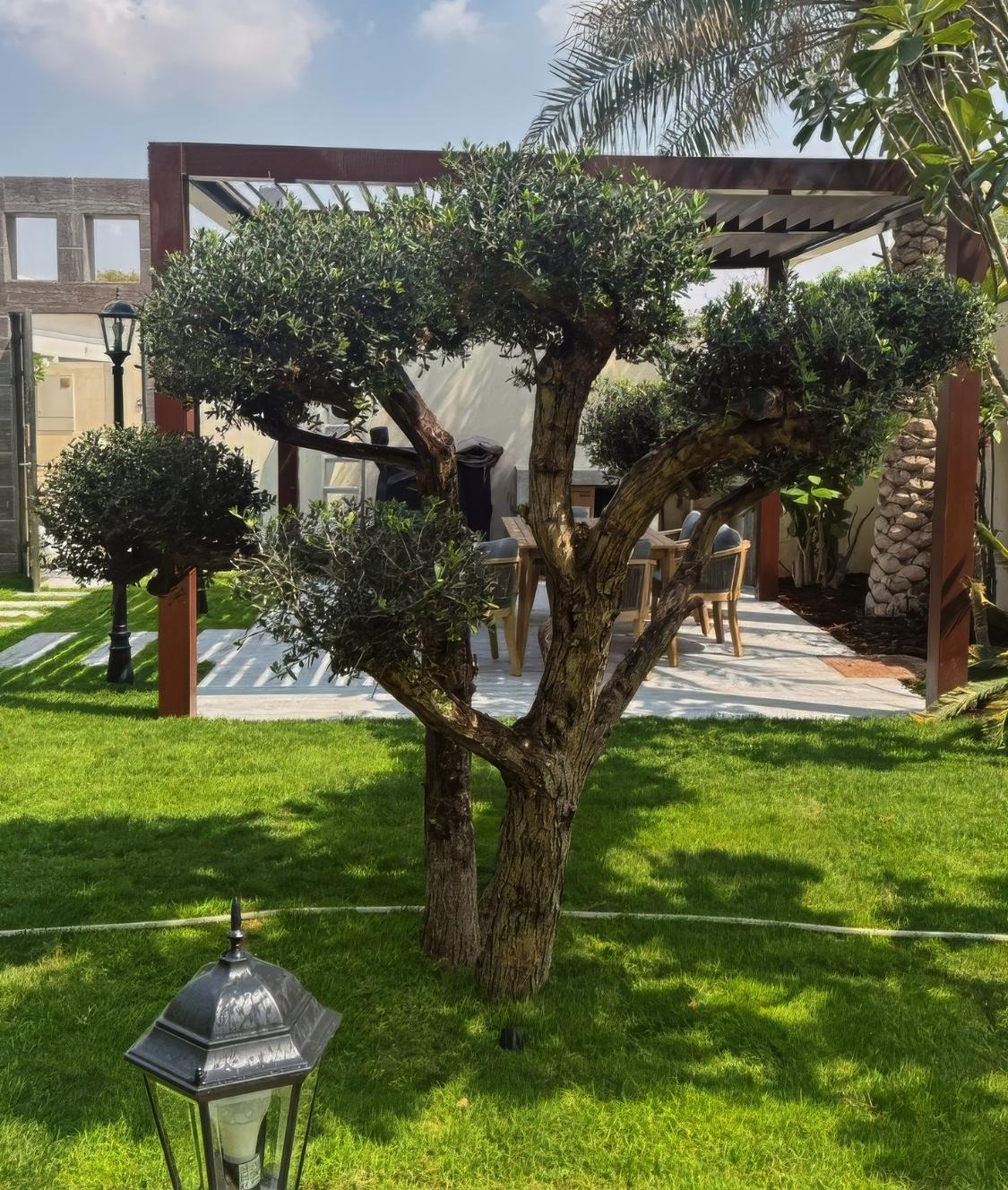 Mastering Luxury Villa Construction Dubai with Iconic Landscape Design