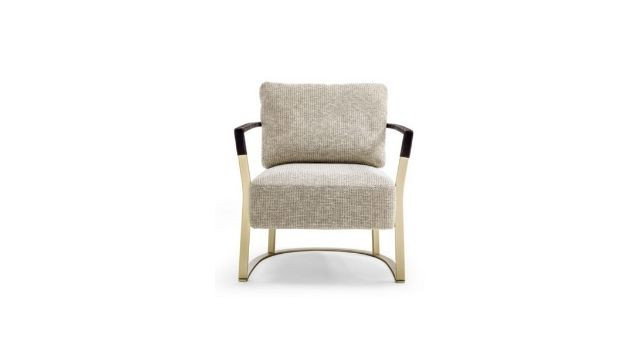 Modern Design Armchair with Gold Accent